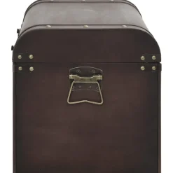 Aarrearkku salvoilla tummanruskea 79,5x39,5x39,5 cm vaneri (10548)