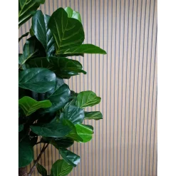 Akustiikkalevy Fibrotech Quanti, 18x520x2440mm, vaalea tammi puuviilu, harmaa pohja
