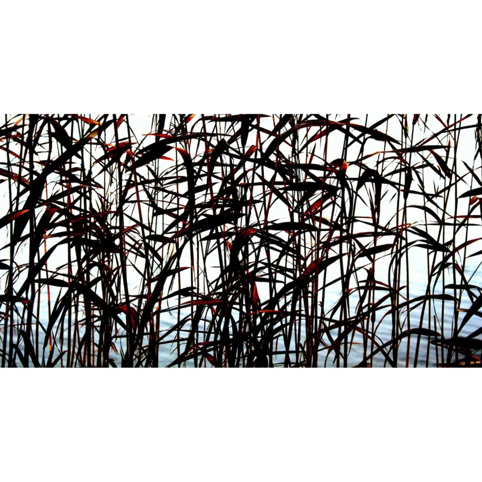 Akustiikkataulu Yeseco Quiet 80x40 cm eri kuvia (myös omalla kuvalla)
