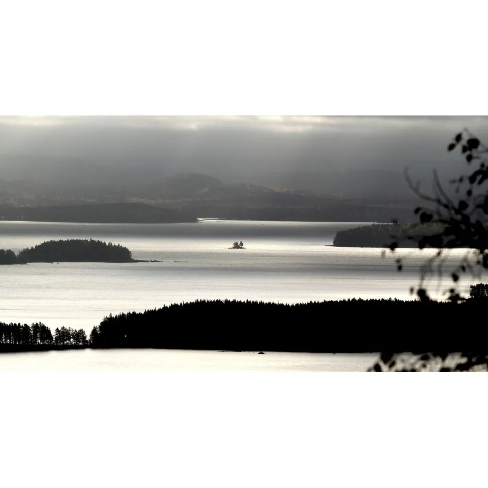 Akustiikkataulu Yeseco Quiet 160x80 cm kollaasi 2 kpl 80x80 cm eri kuvia (myös omalla kuvalla)