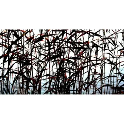 Akustiikkataulu Yeseco Quiet 120x60 cm kollaasi 2 kpl 60x60 cm eri kuvia (myös omalla kuvalla)