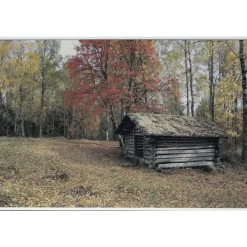 Akustiikkataulu Yeseco Still T 60x40 cm valkoiset puukehykset eri kuvia (myös omalla kuvalla)