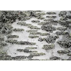 Akustiikkataulu Yeseco Still T 60x40 cm valkoiset puukehykset eri kuvia (myös omalla kuvalla)