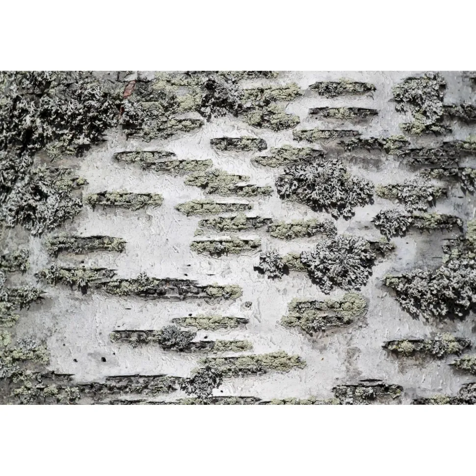 Akustiikkataulu Yeseco Still T 60x40 cm valkoiset puukehykset eri kuvia (myös omalla kuvalla)