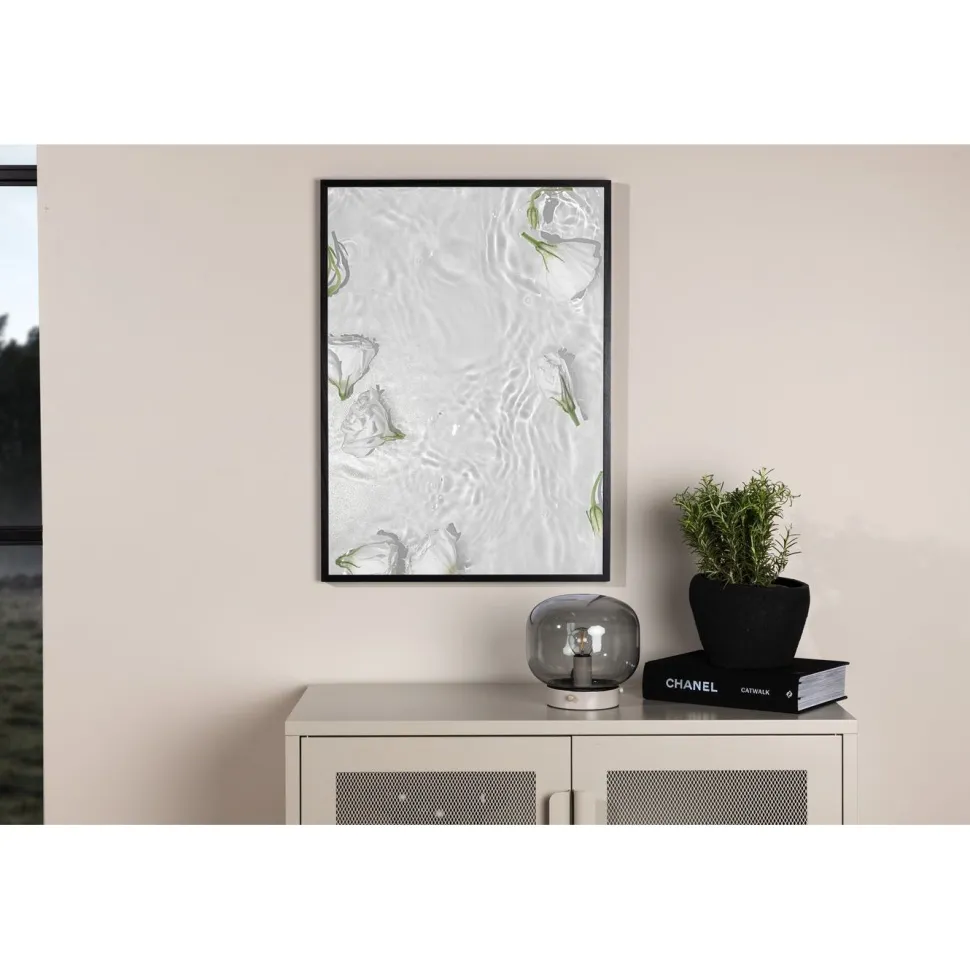 Juliste Venture Home White roses, valkoinen
