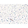 Kontaktimuovi D-C-Fix 346-0695, 0.45x2m, Terrazzo Neo mosaiikki sininen