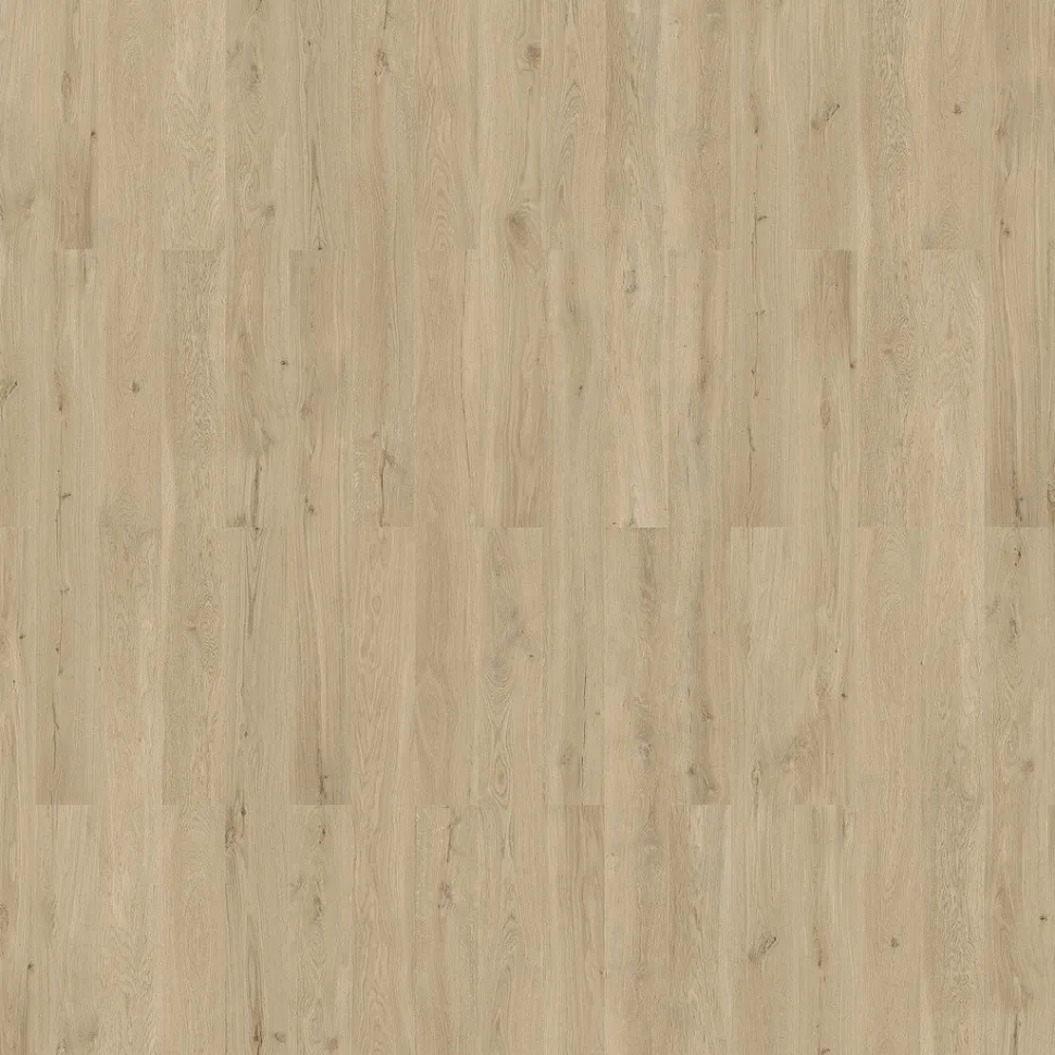 Korkkilattia Wicanders Wise Wood Natural Dakota Oak Sand, eri kokoja