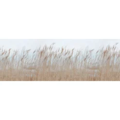 Kuvatapetti Rebel Walls Swaying Reed non-woven mittatilaus