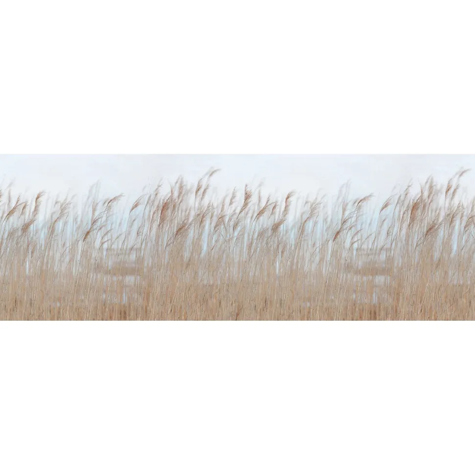 Kuvatapetti Rebel Walls Swaying Reed non-woven mittatilaus