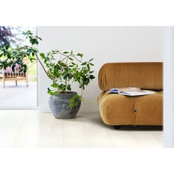 Laminaatti Pergo Living Expression Lillehammer 4V White Painted Oak 2,048 m²/pkt