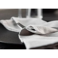 Lautasliina Venture Home Bloria, 40x40cm