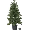 LED-valaistu joulukuusi Star Trading Byske, 90cm, vihreä
