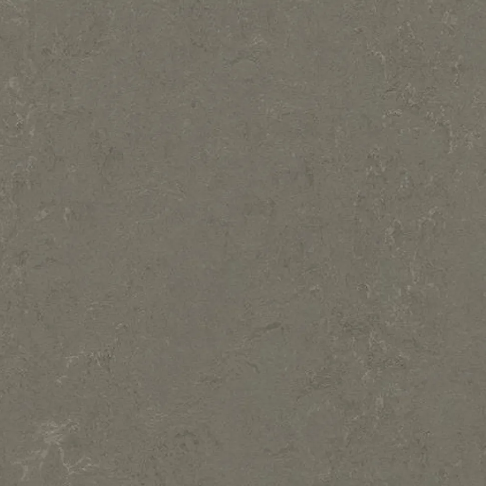 Linoleumilaatta Forbo Marmoleum Click Nebula 30x30 cm keskiruskean harmaa