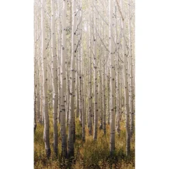 Maisematapetti One Roll One Motif Birch Tree, 1.59x2.80m, metsä, non-woven