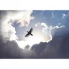 Maisematapetti Rebel Walls Free as a Bird, non-woven, mittatilaus