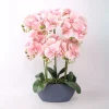 Orkidea Home4You GARDEN QUEEN K64 cm, vaaleanpunainen