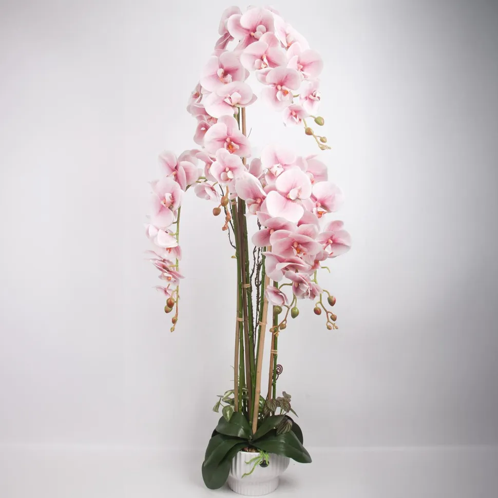 Orkidea Home4You GARDEN QUEEN K124 cm, vaaleanpunainen