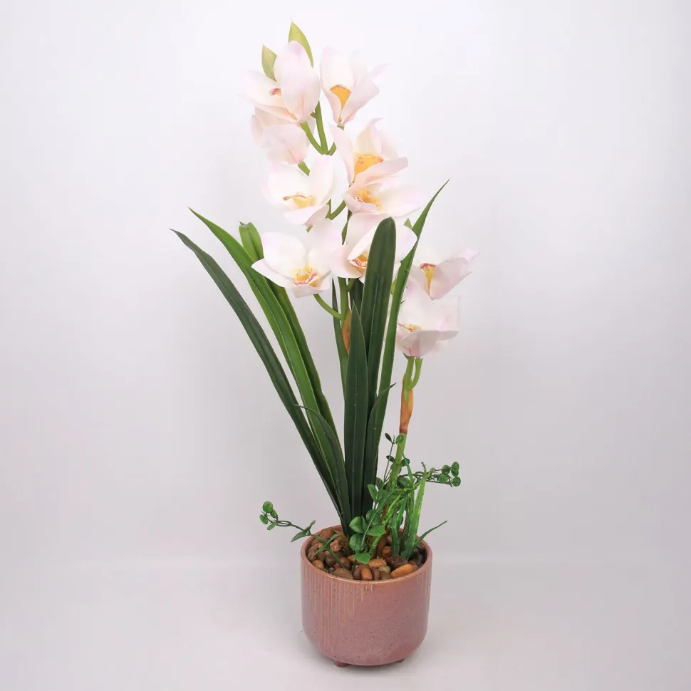 Orkidea Home4You GARDEN QUEEN K70 cm, valkoinen