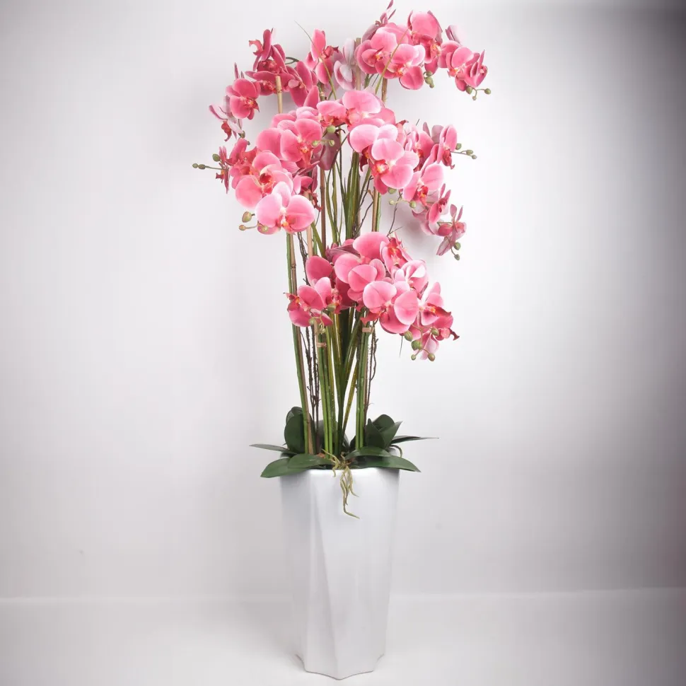 Orkidea Home4You GARDEN QUEEN K132 cm, eri värejä