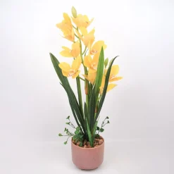 Orkidea Home4You GARDEN QUEEN K70 cm, keltainen