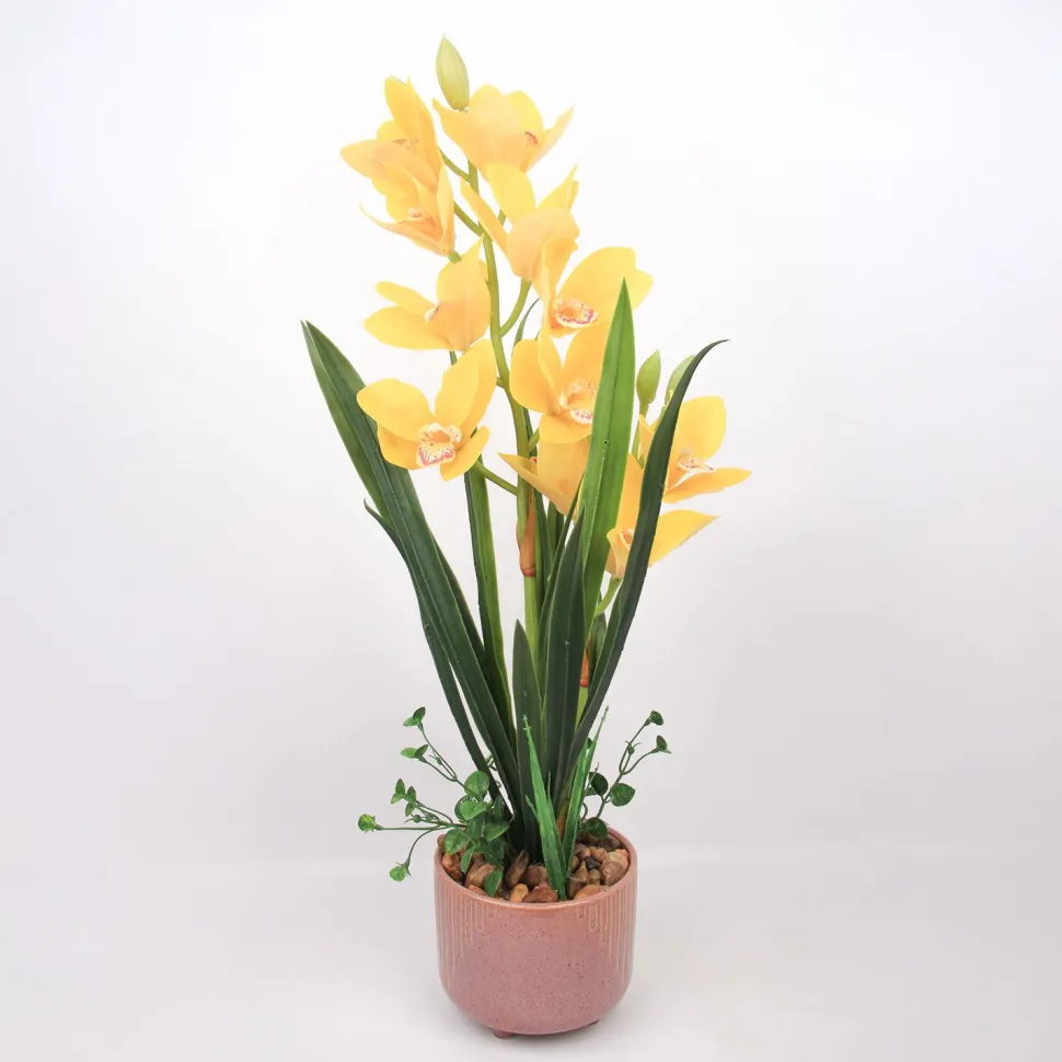 Orkidea Home4You GARDEN QUEEN K70 cm, keltainen