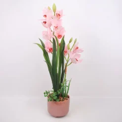 Orkidea Home4You GARDEN QUEEN K70 cm, vaaleanpunainen
