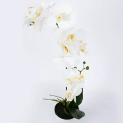 Orkidea Home4You WIND IN GARDEN K51 cm, valkoinen