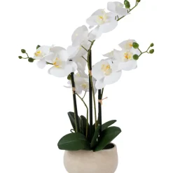 Orkidea Home4You WIND IN GARDEN K55 cm, valkoinen