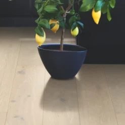 Parketti Pergo Falster Arctic Oak, mattalakattu