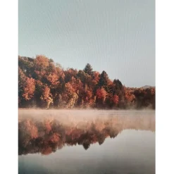 Seinätaulu Home4You WALLY 60x80 cm, järvimaisema, oranssi