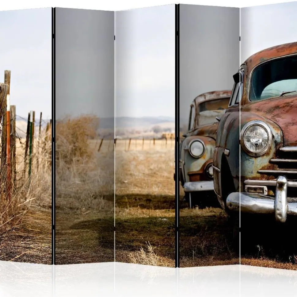 Sermi Artgeist Two old American cars II 225x172cm