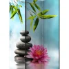 Sermi Artgeist Water Lily and Zen Stones 135x172cm