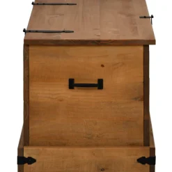 säilytysarkku HALDEN harmaa 91x48x47 cm massiivipuu mänty (18403)