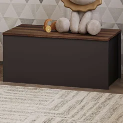 Säilytysarkku Linento Furniture Florya, valkoinen/pähkinänruskea