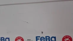 Sisustuspaneeli Aure Riihi STS PN 15x120x2500mm harjattu puhtaan valkoinen