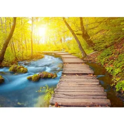 Sisustustarra Artgeist Forest eri kokoja