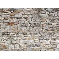Sisustustarra Artgeist Royal Wall eri kokoja