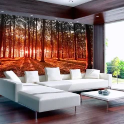 Sisustustarra Artgeist Autumn: morning in the forest 70x98cm