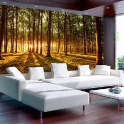 Sisustustarra Artgeist Summer: Morning in the forest 70x98cm