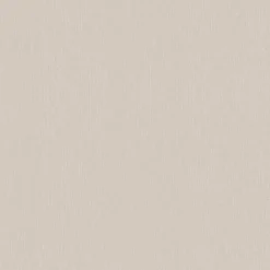 Tapetti Sandudd Rolleri 11 2970-7, 0.53x11.2m, yksivärinen, beige