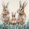 Taulu Home4You 60x60 cm, jänisperhe, monivärinen