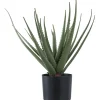 Tekokasvi House Nordic Aloe Vera, 51cm, vihreä