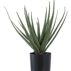 Tekokasvi House Nordic Aloe Vera, 51cm, vihreä