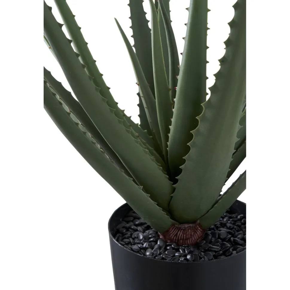 Tekokasvi House Nordic Aloe Vera, 51cm, vihreä