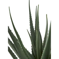 Tekokasvi House Nordic Aloe Vera, 51cm, vihreä