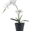 Tekokasvi House Nordic Orkidea, 49cm, valkoinen/vihreä