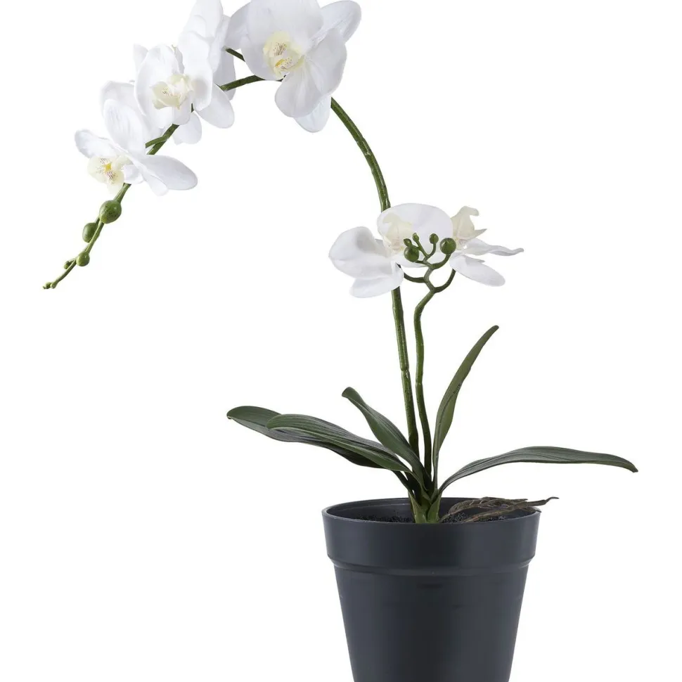 Tekokasvi House Nordic Orkidea, 49cm, valkoinen/vihreä