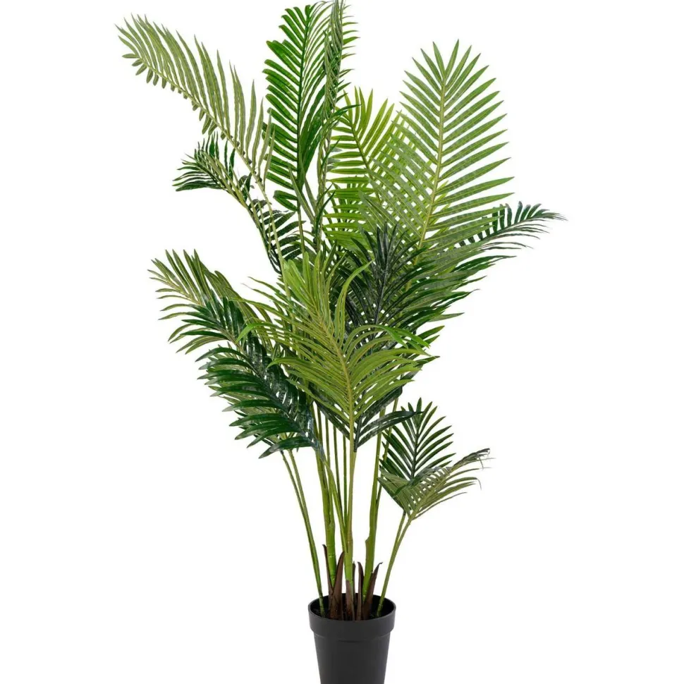 Tekokasvi House Nordic Puistokultapalmu Areca Palm, 175cm, vihreä