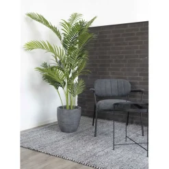 Tekokasvi House Nordic Puistokultapalmu Areca Palm, 175cm, vihreä