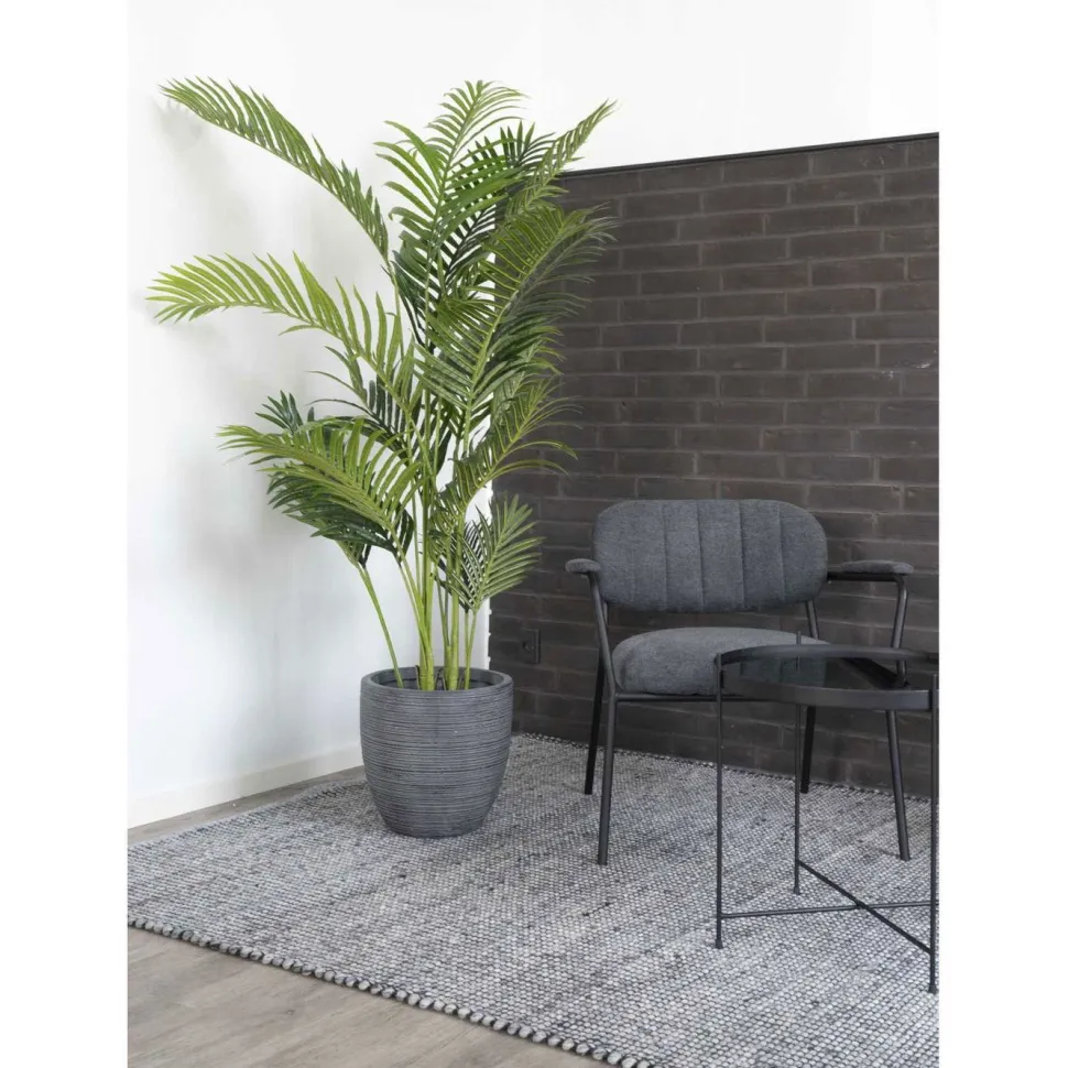 Tekokasvi House Nordic Puistokultapalmu Areca Palm, 175cm, vihreä